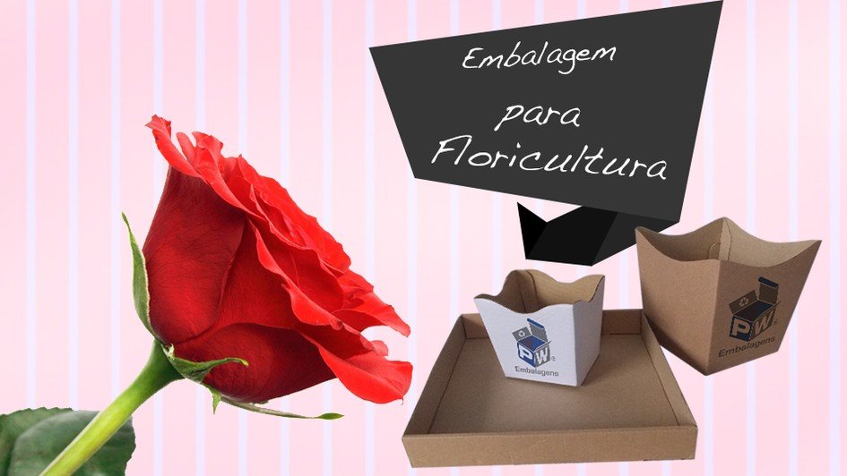 Promoção 4